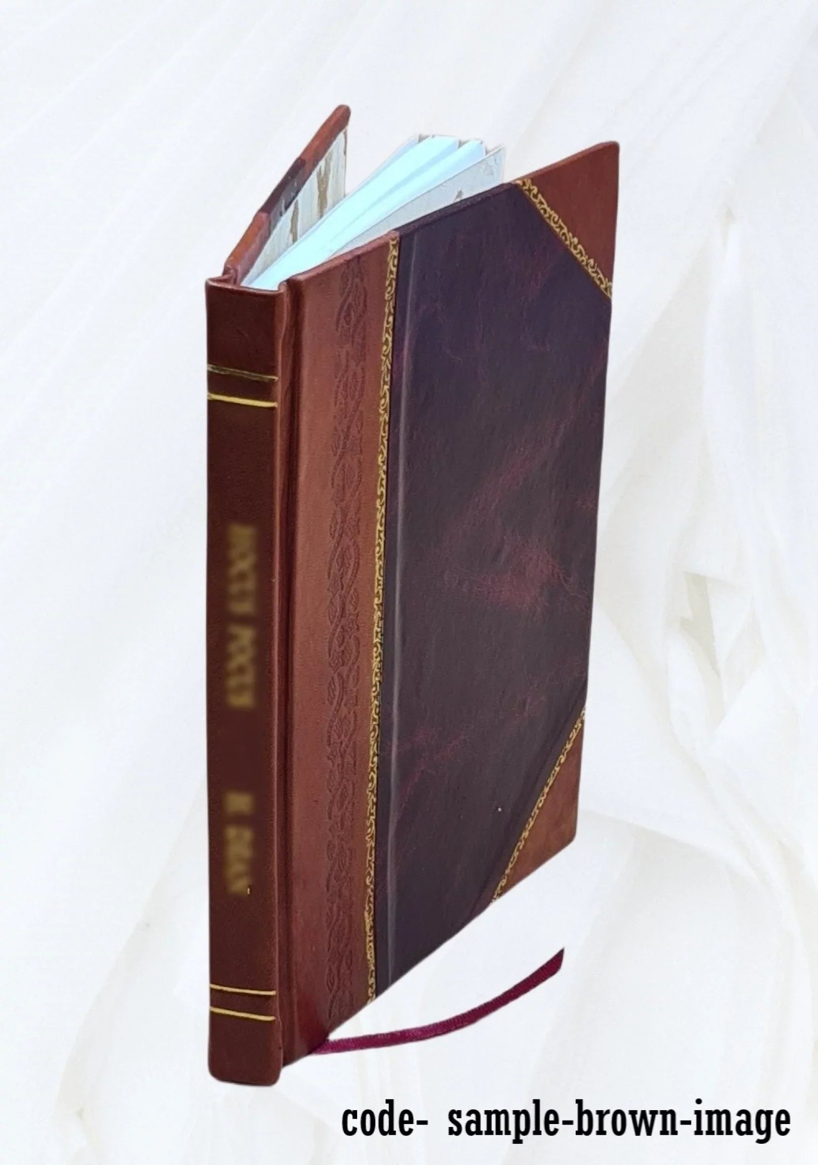 Alger-Timgad, Sizeidi-Okba : notes de voyage / par Ernest Layer. 1902 [Leather Bound]