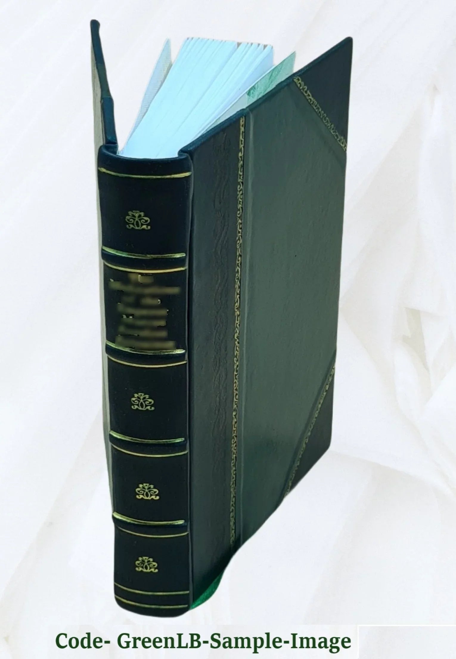 Daemonologia sacra; or, A treatise of Sizeatan's temptations. In three parts. Ed., with memoir, by Alexander Balloch Grosart. 1867 [Leather Bound]