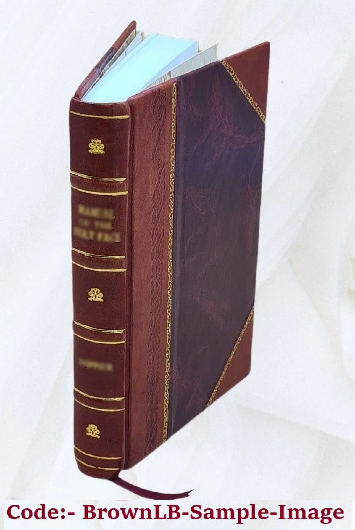 The mask : a quarterly illustrated journal of the art of the theatre. Volume v.11 1925 1925 [Leather Bound]