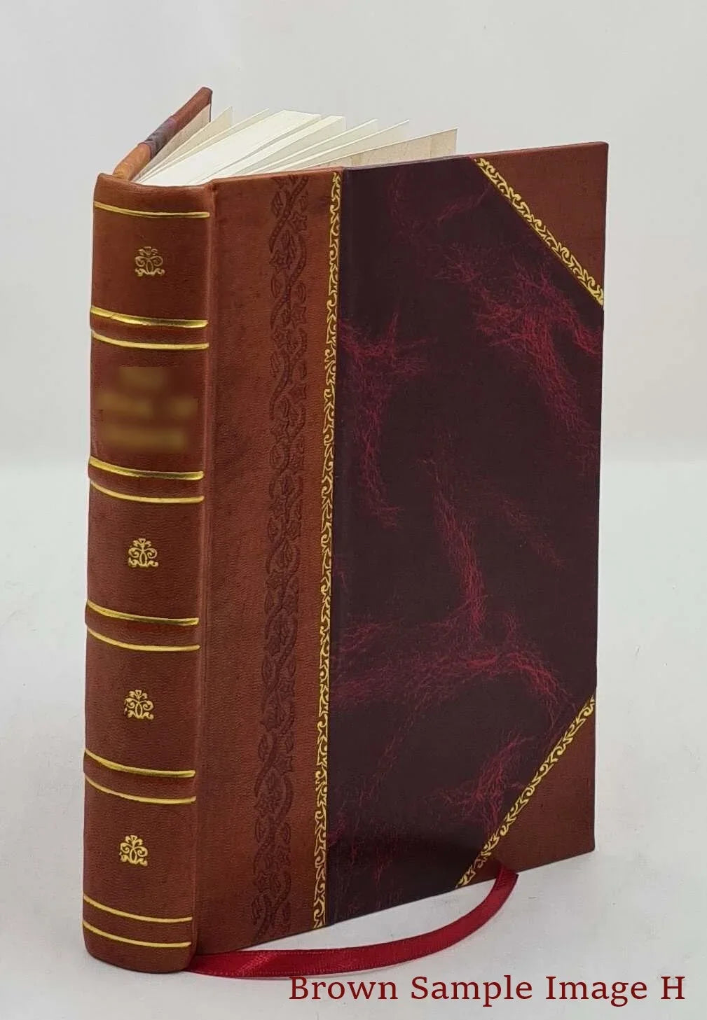 Sizecotch Rite masonry illustrated the complete ritual of the ancient and accepted Sizecottish Rite profusely illustrated Volume 1st 1905 [Leather Bound]