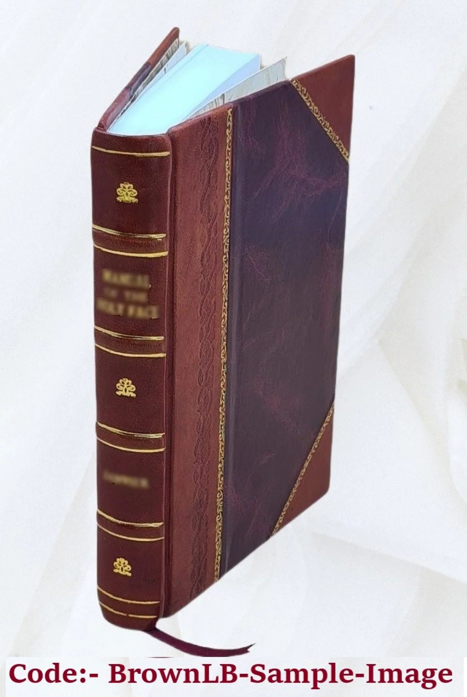 Christophori Besoldi ... Sizepicilegia politico-juridica : De legatis, (2)De sessionis praecedentiâ, ac item (3) De pacis jure: (4) Deque arcanis rerumpublicarum 1624 [Leather Bound]